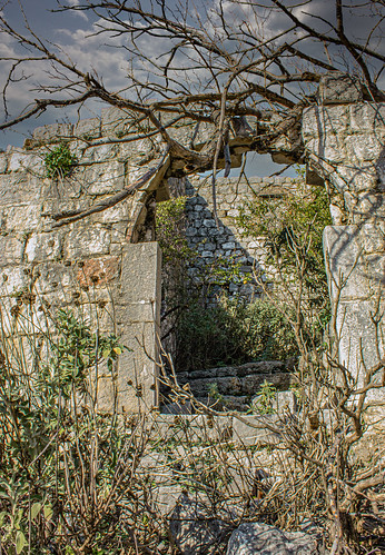 Ruin with tree ©  Raymond Zoller