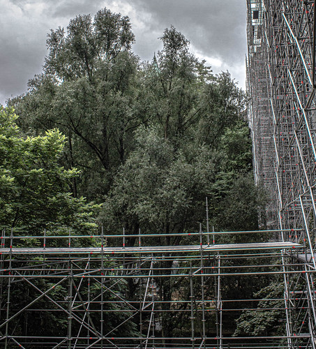 Trees and scaffoldings ©  Raymond Zoller
