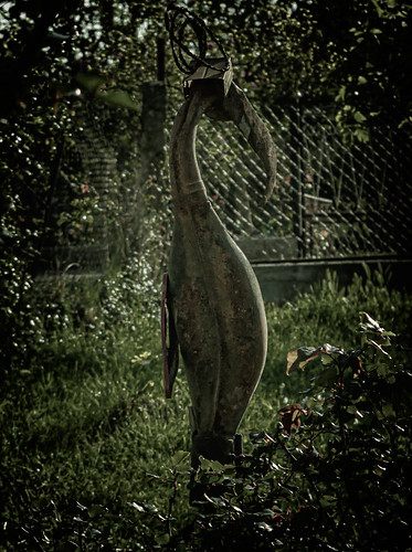 Some iron bird ©  Raymond Zoller