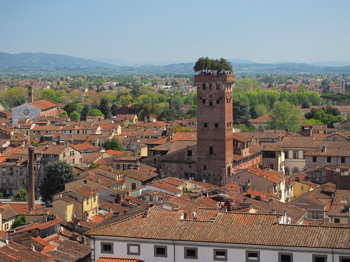 Guinigi Tower, Lucca ©  Dmitry Djouce