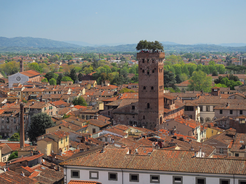 : Guinigi Tower, Lucca