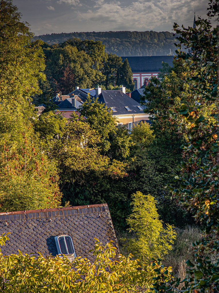 : Roofs and trees