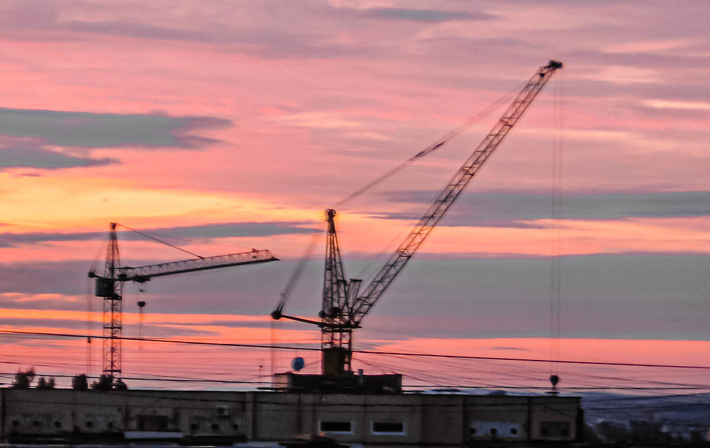 : cranes at sunset