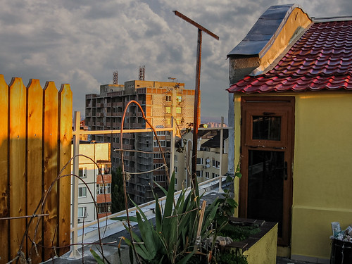     - Morning sun on the roof ©  raymond_zoller