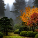 Japanese Fall Landscape