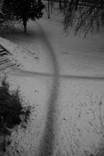 DP2Q9711. Crossing Paths ©  carlfbagge