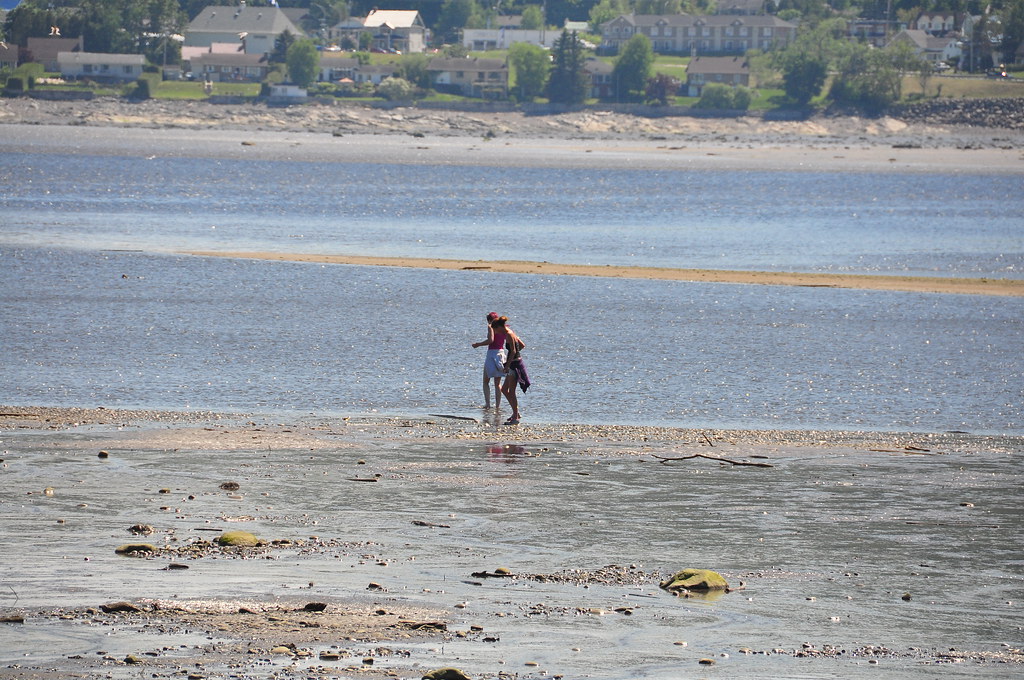 фото: La rivi`ere Malbaie et le Saint-Laurent `a la mar'ee basse