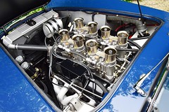 AC Shelby Cobra 289 FIA (1965)