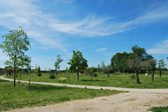 Parc Fontaine Saint-Martin