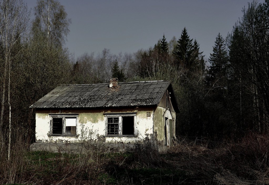 : the abandoned house in the forest