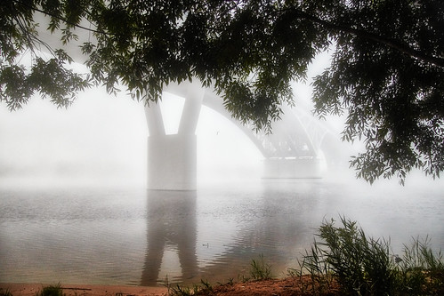 Foggy morning ©  Dmitriy Protsenko
