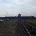 Hoofdpoort, Auschwitz-Birkenau