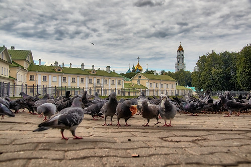 Square with pigeons ©  Dmitriy Protsenko