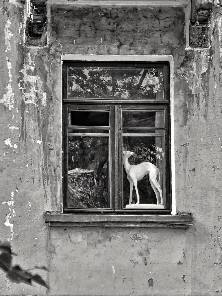 фото: in a window