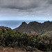 Tenerife Landscape