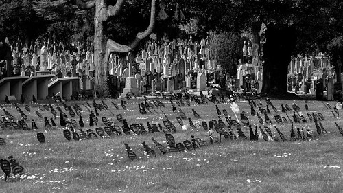 Dublin Cemetery 8