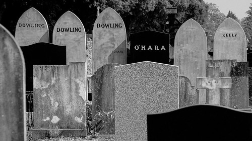 Dublin Cemetery 7