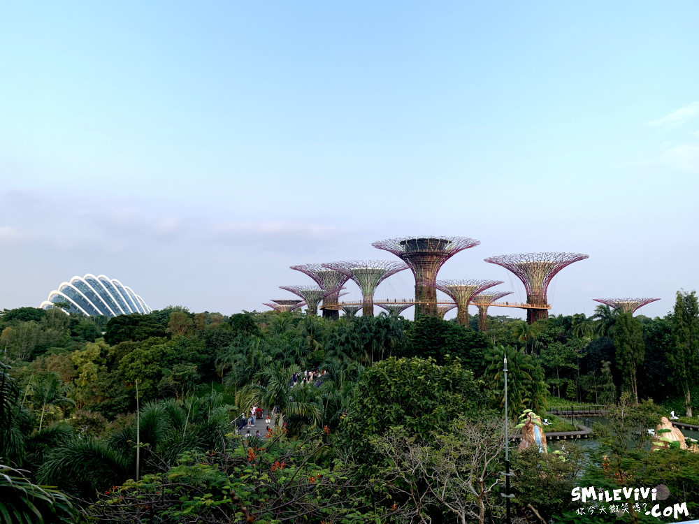 新加坡免費景點∥超級樹燈光秀(Supertree Grove)︱新加坡必看燈光秀，每晚19:45、20:45︱新加坡免費景點︱免費夜間景點︱精彩絢麗秀︱新加坡景點 12 48768566873 9ec59ef053 o