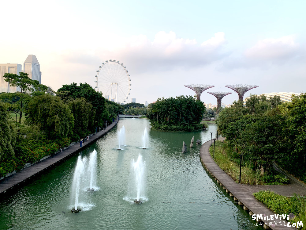 新加坡免費景點∥超級樹燈光秀(Supertree Grove)︱新加坡必看燈光秀，每晚19:45、20:45︱新加坡免費景點︱免費夜間景點︱精彩絢麗秀︱新加坡景點 20 48768567318 5bd07d4562 o