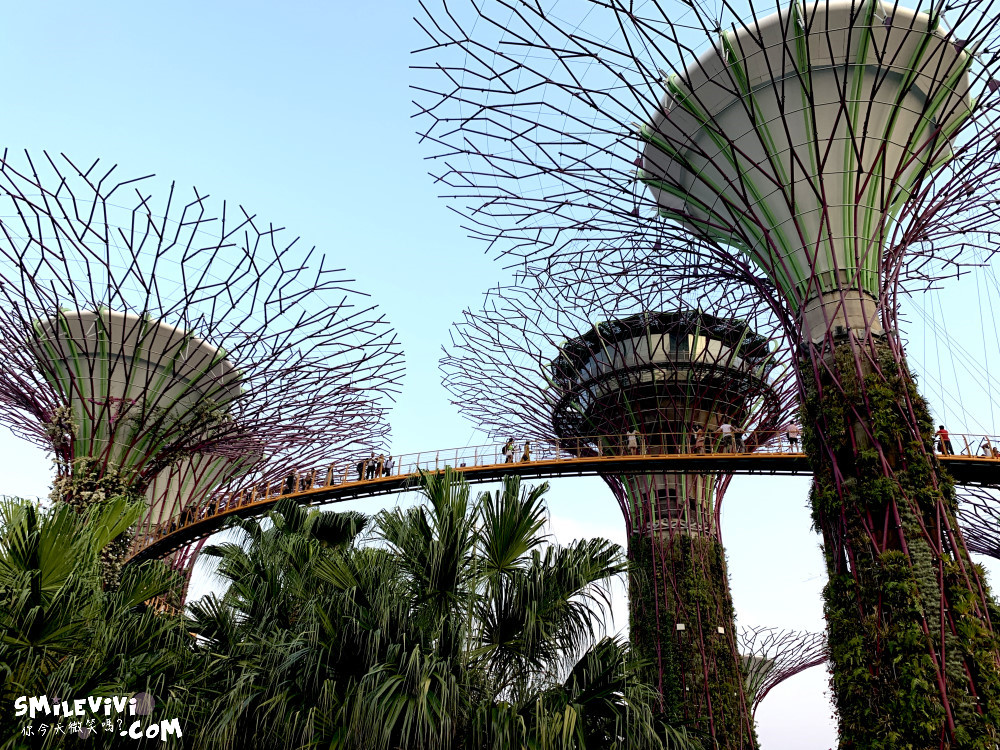 新加坡免費景點∥超級樹燈光秀(Supertree Grove)︱新加坡必看燈光秀，每晚19:45、20:45︱新加坡免費景點︱免費夜間景點︱精彩絢麗秀︱新加坡景點 21 48768567408 3e1e2830e7 o