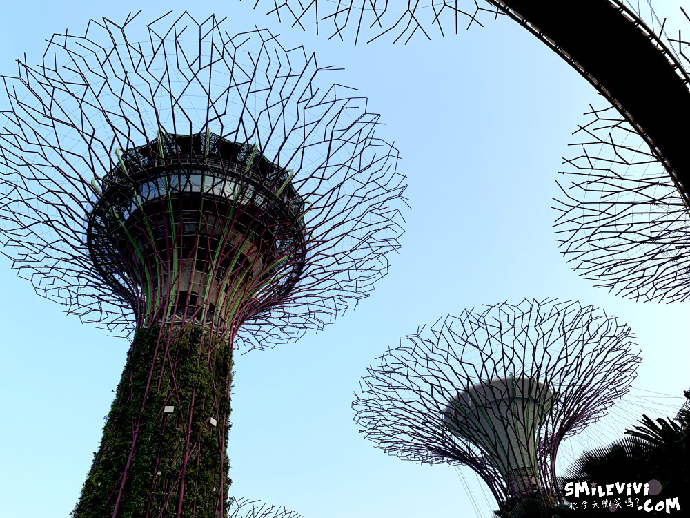 新加坡免費景點∥超級樹燈光秀(Supertree Grove)︱新加坡必看燈光秀，每晚19:45、20:45︱新加坡免費景點︱免費夜間景點︱精彩絢麗秀︱新加坡景點 25 48768567588 a1d0dd1c2e o