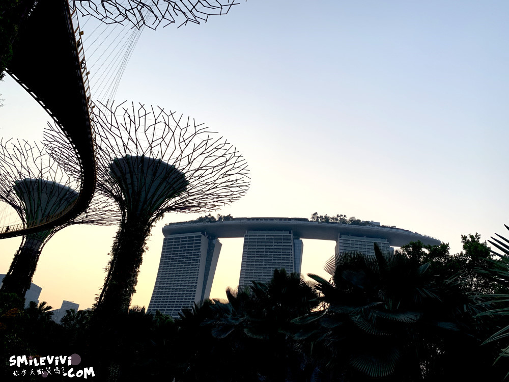 新加坡免費景點∥超級樹燈光秀(Supertree Grove)︱新加坡必看燈光秀，每晚19:45、20:45︱新加坡免費景點︱免費夜間景點︱精彩絢麗秀︱新加坡景點 32 48768567863 54196f5f87 o