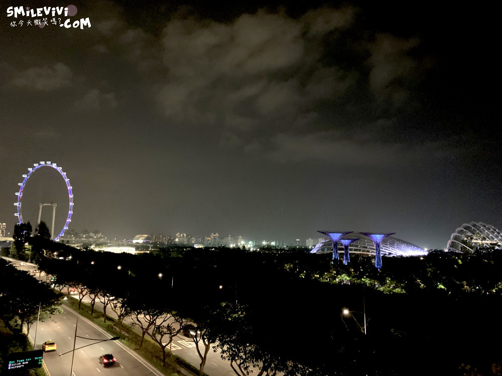 新加坡免費景點∥超級樹燈光秀(Supertree Grove)︱新加坡必看燈光秀，每晚19:45、20:45︱新加坡免費景點︱免費夜間景點︱精彩絢麗秀︱新加坡景點 38 48768568128 390c1e0e23 o