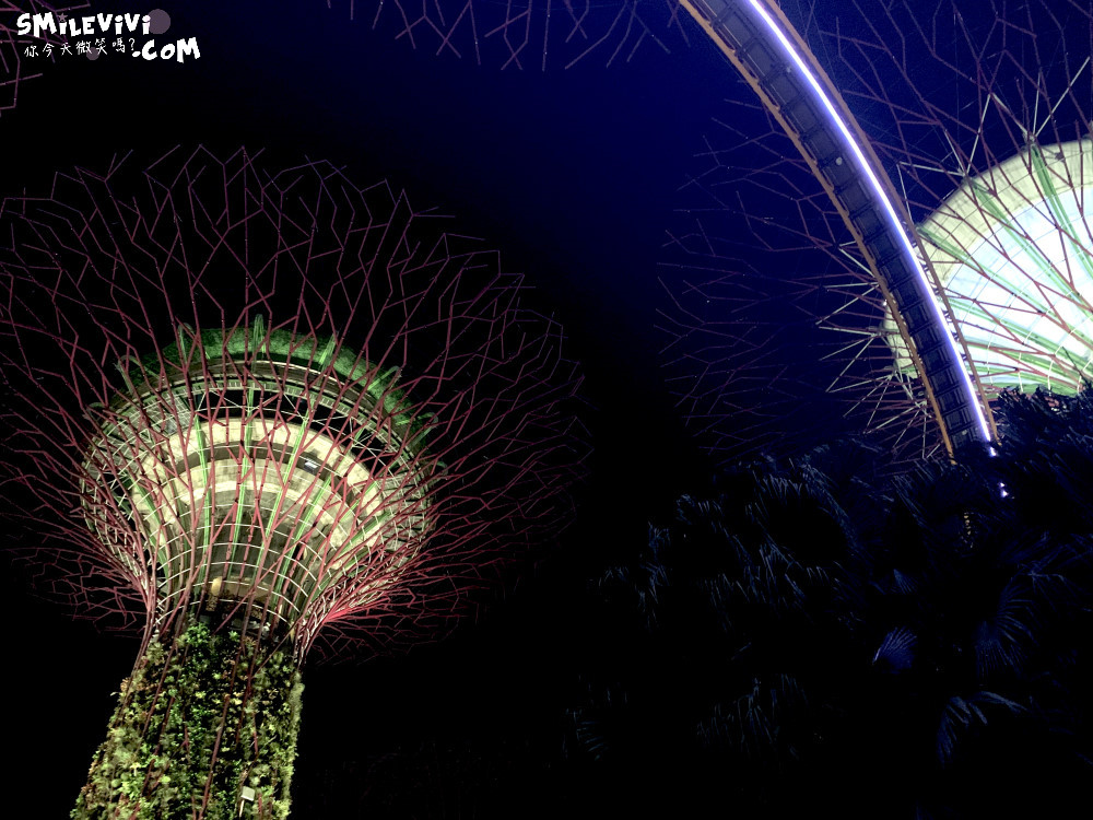 新加坡免費景點∥超級樹燈光秀(Supertree Grove)︱新加坡必看燈光秀，每晚19:45、20:45︱新加坡免費景點︱免費夜間景點︱精彩絢麗秀︱新加坡景點 40 48768568298 5bf07efd89 o