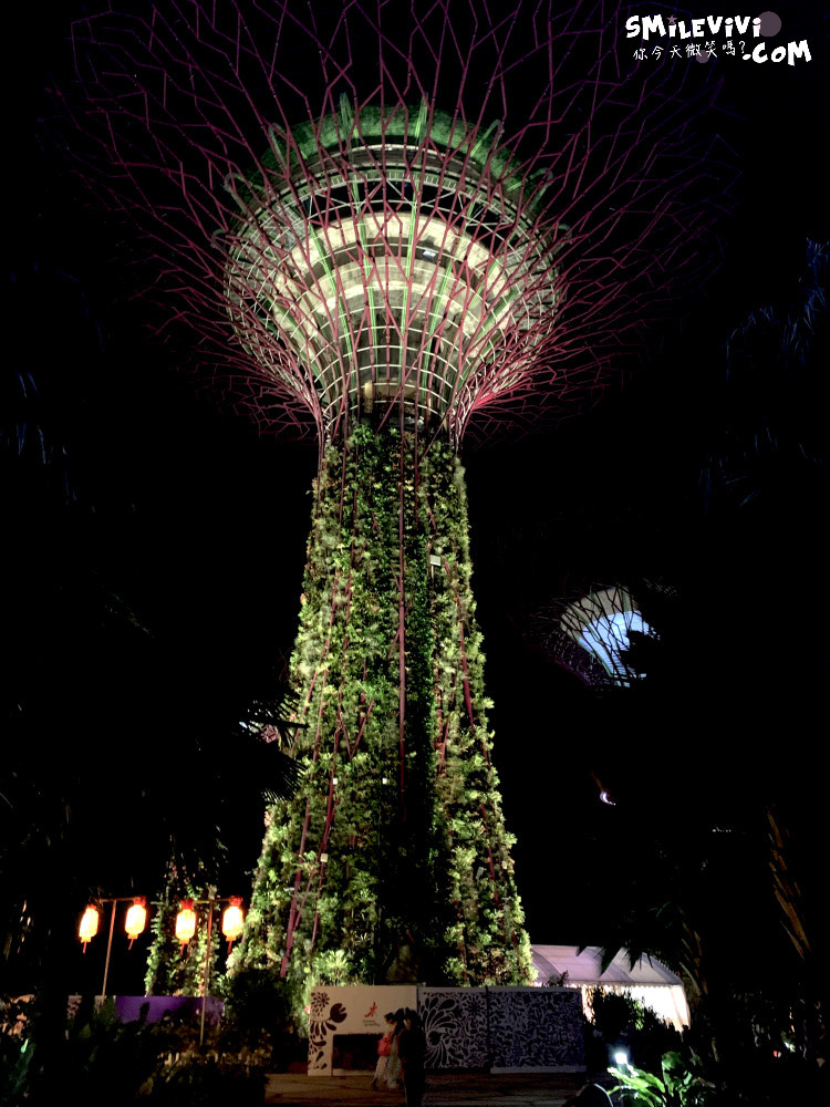 新加坡免費景點∥超級樹燈光秀(Supertree Grove)︱新加坡必看燈光秀，每晚19:45、20:45︱新加坡免費景點︱免費夜間景點︱精彩絢麗秀︱新加坡景點 41 48768568363 693f961749 o