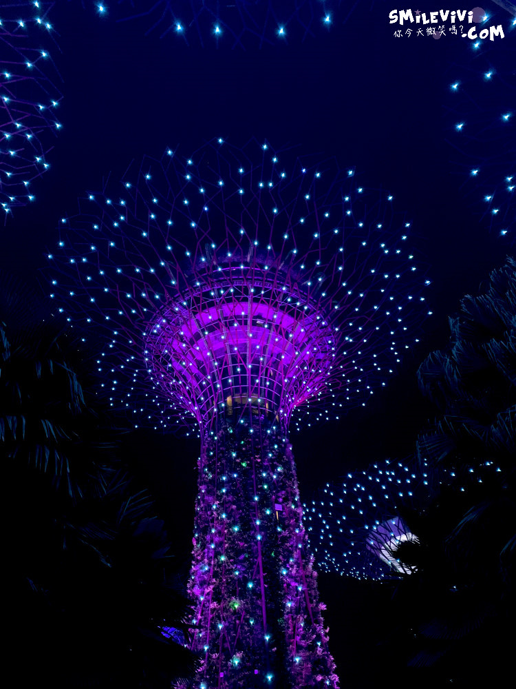 新加坡免費景點∥超級樹燈光秀(Supertree Grove)︱新加坡必看燈光秀，每晚19:45、20:45︱新加坡免費景點︱免費夜間景點︱精彩絢麗秀︱新加坡景點 44 48768568568 e3639ecf76 o
