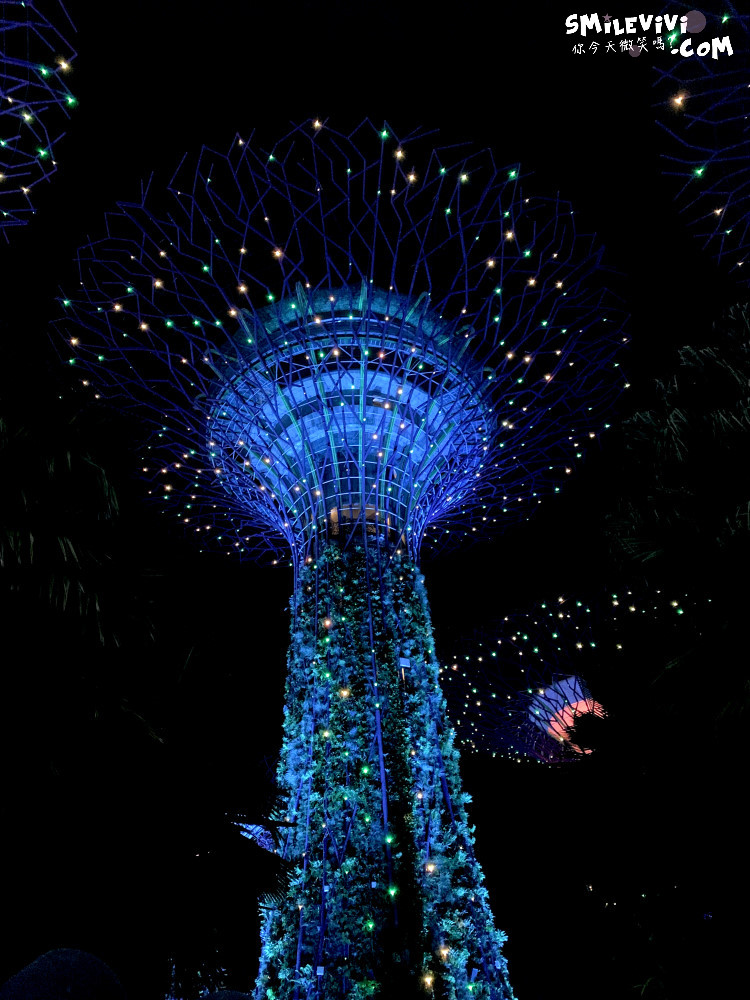 新加坡免費景點∥超級樹燈光秀(Supertree Grove)︱新加坡必看燈光秀，每晚19:45、20:45︱新加坡免費景點︱免費夜間景點︱精彩絢麗秀︱新加坡景點 46 48768568653 d629c58ab0 o