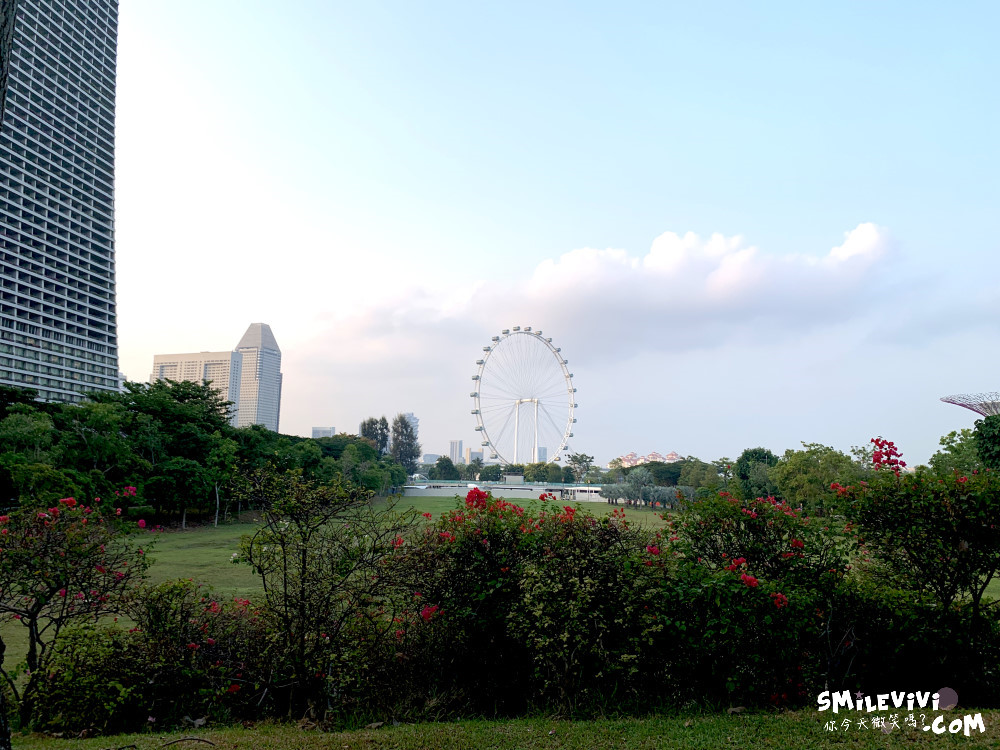 新加坡免費景點∥超級樹燈光秀(Supertree Grove)︱新加坡必看燈光秀，每晚19:45、20:45︱新加坡免費景點︱免費夜間景點︱精彩絢麗秀︱新加坡景點 17 48768899886 76617717ff o