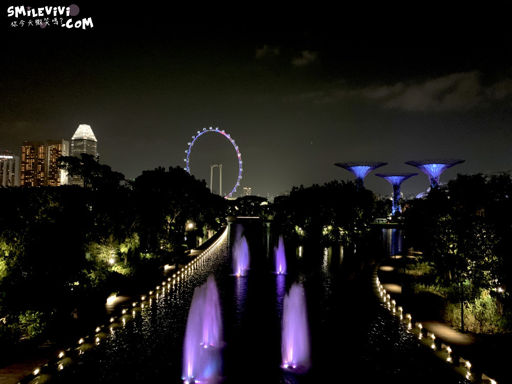 新加坡免費景點∥超級樹燈光秀(Supertree Grove)︱新加坡必看燈光秀，每晚19:45、20:45︱新加坡免費景點︱免費夜間景點︱精彩絢麗秀︱新加坡景點 39 48768901001 c84bb21ee6 o
