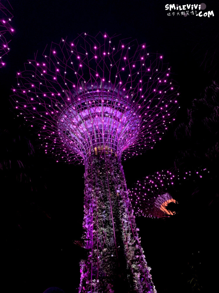 新加坡免費景點∥超級樹燈光秀(Supertree Grove)︱新加坡必看燈光秀，每晚19:45、20:45︱新加坡免費景點︱免費夜間景點︱精彩絢麗秀︱新加坡景點 45 48768901306 6cc81bbec0 o