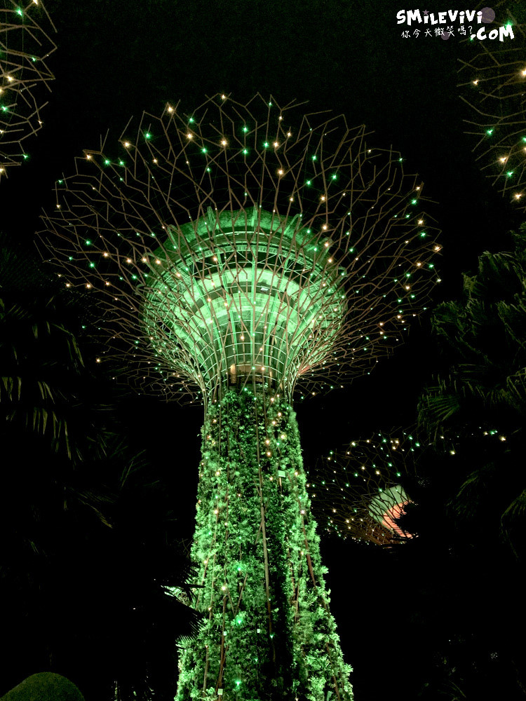 新加坡免費景點∥超級樹燈光秀(Supertree Grove)︱新加坡必看燈光秀，每晚19:45、20:45︱新加坡免費景點︱免費夜間景點︱精彩絢麗秀︱新加坡景點 47 48768901421 ea82195a0f o