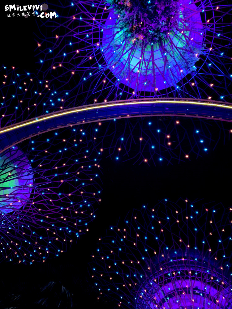 新加坡免費景點∥超級樹燈光秀(Supertree Grove)︱新加坡必看燈光秀，每晚19:45、20:45︱新加坡免費景點︱免費夜間景點︱精彩絢麗秀︱新加坡景點 53 48768901846 9570a03ac0 o