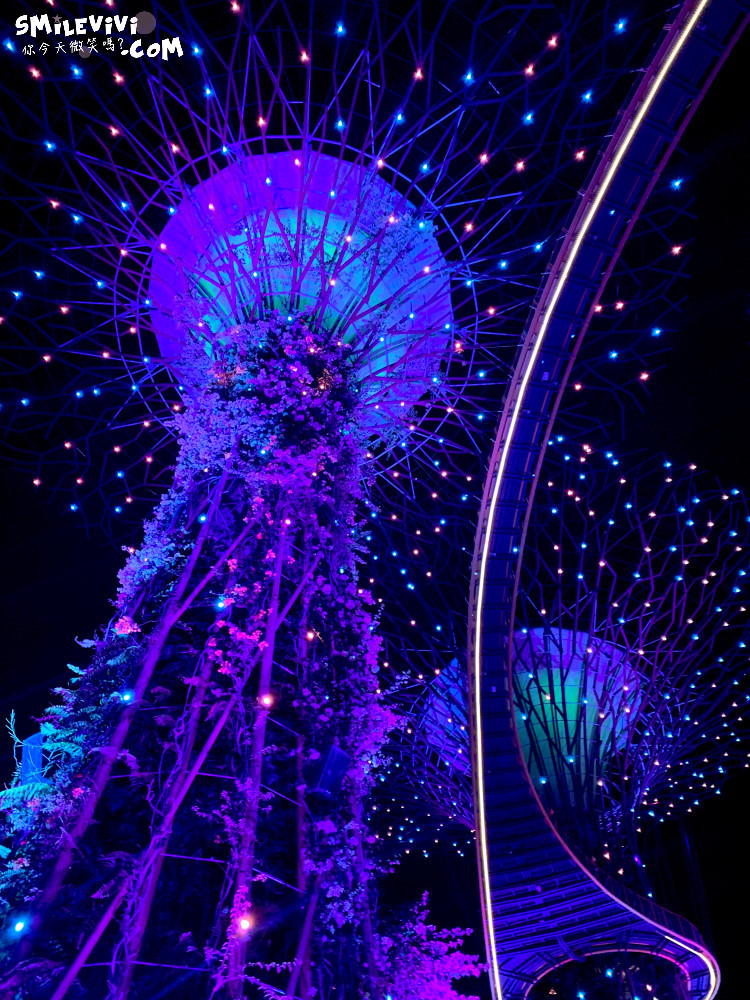 新加坡免費景點∥超級樹燈光秀(Supertree Grove)︱新加坡必看燈光秀，每晚19:45、20:45︱新加坡免費景點︱免費夜間景點︱精彩絢麗秀︱新加坡景點 55 48768901951 deb7c5efd5 o
