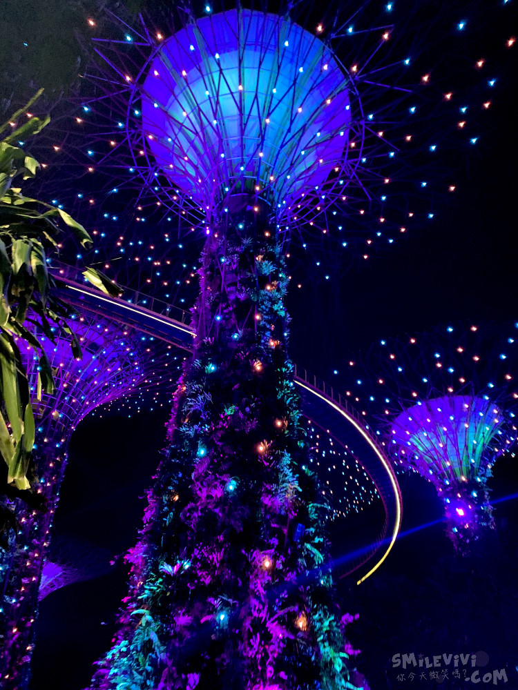 新加坡免費景點∥超級樹燈光秀(Supertree Grove)︱新加坡必看燈光秀，每晚19:45、20:45︱新加坡免費景點︱免費夜間景點︱精彩絢麗秀︱新加坡景點 56 48768902021 81aff4ab70 o