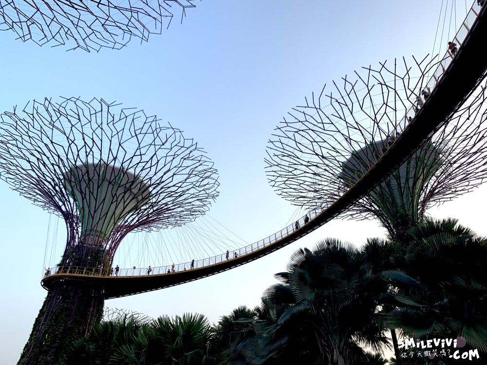 新加坡免費景點∥超級樹燈光秀(Supertree Grove)︱新加坡必看燈光秀，每晚19:45、20:45︱新加坡免費景點︱免費夜間景點︱精彩絢麗秀︱新加坡景點 24 48769100562 8135917d9e o