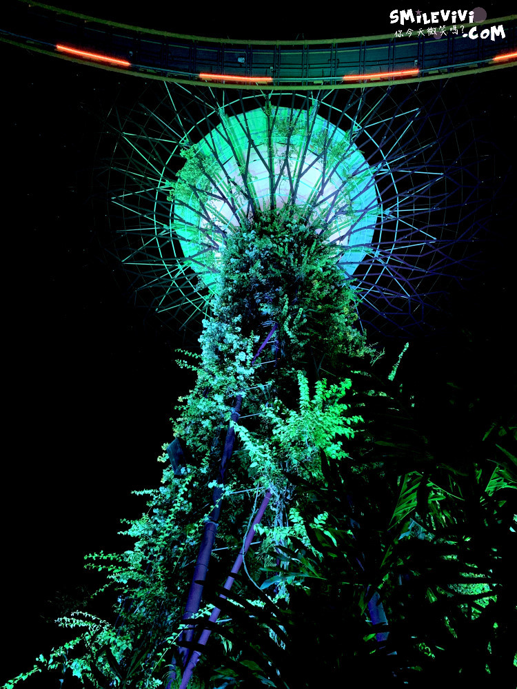 新加坡免費景點∥超級樹燈光秀(Supertree Grove)︱新加坡必看燈光秀，每晚19:45、20:45︱新加坡免費景點︱免費夜間景點︱精彩絢麗秀︱新加坡景點 48 48769101542 4ab437a393 o