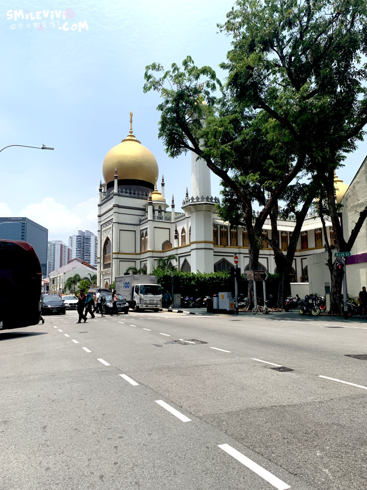 新加坡∥阿拉伯區甘榜格南(Kampong Glam)、蘇丹回教堂(Masjid Sultan)、哈芝巷(Haji Lane)、阿拉伯街(Arab Street)拍照最美的地方 4 48774227348 386f2a9e10 o