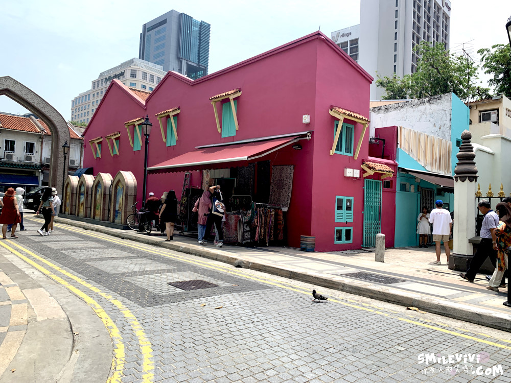 新加坡∥阿拉伯區甘榜格南(Kampong Glam)、蘇丹回教堂(Masjid Sultan)、哈芝巷(Haji Lane)、阿拉伯街(Arab Street)拍照最美的地方 38 48774766682 5c4c33c061 o