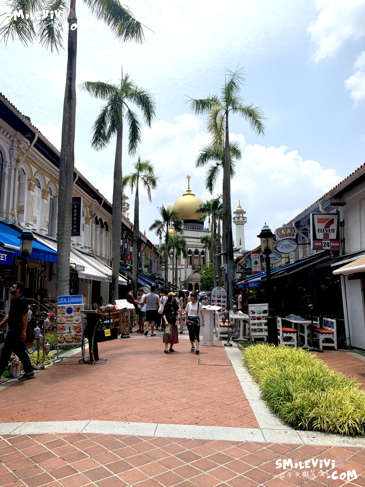 新加坡∥阿拉伯區甘榜格南(Kampong Glam)、蘇丹回教堂(Masjid Sultan)、哈芝巷(Haji Lane)、阿拉伯街(Arab Street)拍照最美的地方 46 48774767132 c701cc620c o