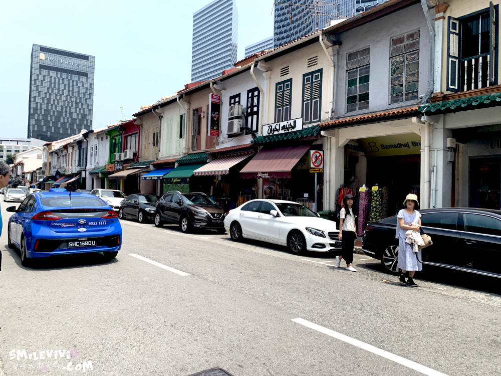 新加坡∥阿拉伯區甘榜格南(Kampong Glam)、蘇丹回教堂(Masjid Sultan)、哈芝巷(Haji Lane)、阿拉伯街(Arab Street)拍照最美的地方 54 48774767512 bf0922c56f o