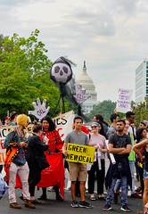 2019.09.23 Climate Strike DC, Washington, DC USA 266 20016