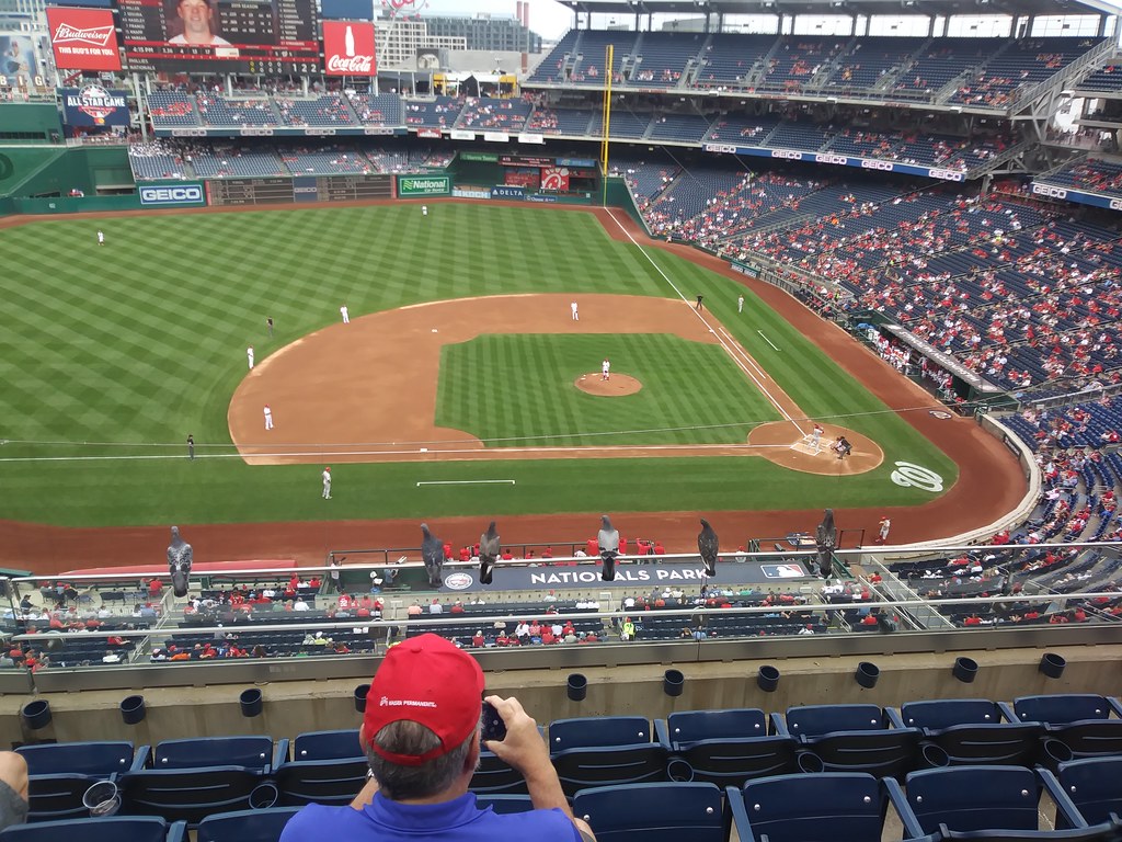 : 6 pigeons watch Phillies lose to Nats 9/26/2019 (at Nats Park)
