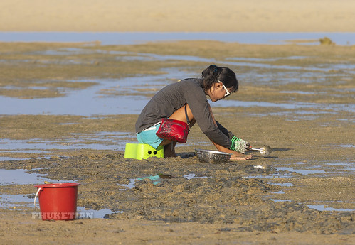 Asian girl collecting shells at the bottom of the sea at low tide. Rawai Beach, Phuket, Thailand 27-09-2019 ©  Phuket@photographer.net