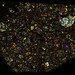 Talbachat n'aït Isfoul Meteorite Thin Section - XPL HDR