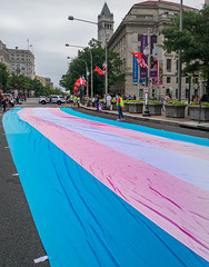 2019.09.28 National Trans Visibility March, Washington, DC USA 271 69059