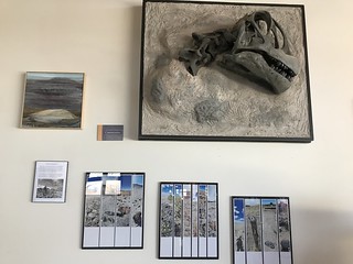 Fossils on display in Jurassic National Monument